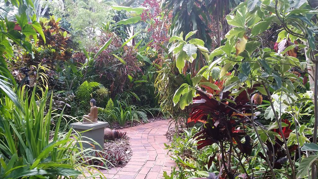 Shambhala Retreat Magnetic Island Cottages Nelly Bay Exteriér fotografie